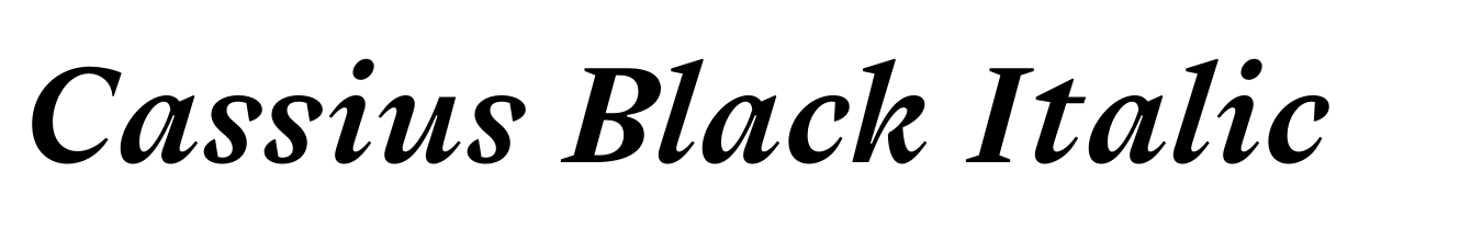 Cassius Black Italic